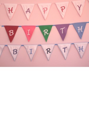 Hoopla Party - Birthday Bunting